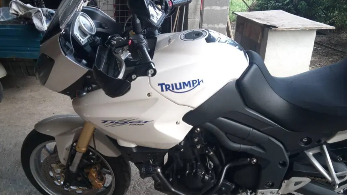 Triumph Tiger 1050 ABS (2006 - 12)  (12)