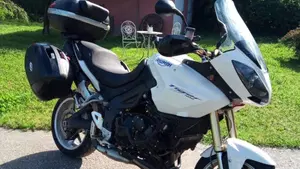 Triumph Tiger 1050 ABS (2006 - 12)  (14)