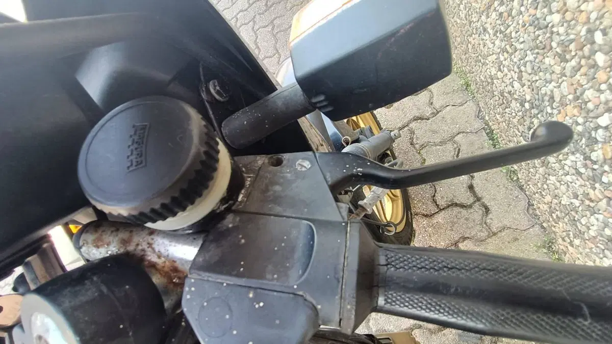 Laverda   (10)