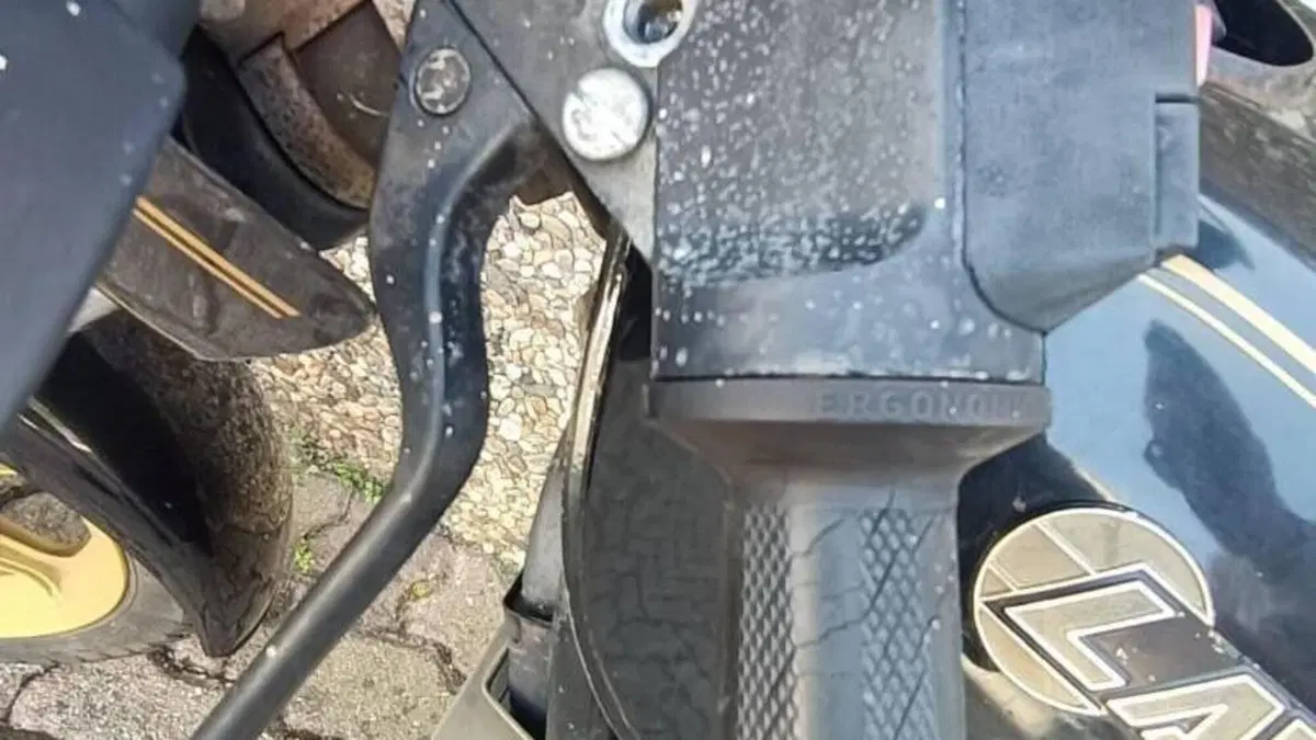 Laverda   (11)
