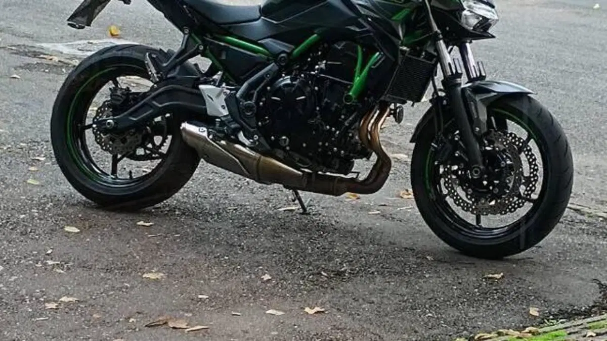 Kawasaki Z 650 (2021 - 24)  (2)