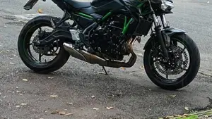 Kawasaki Z 650 (2021 - 24)  (2)
