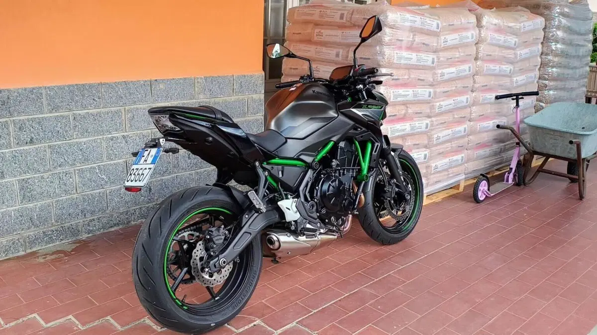 Kawasaki Z 650 (2021 - 24)  (3)
