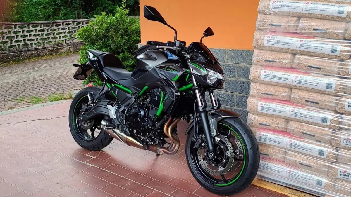 Kawasaki Z 650 (2021 - 24)  (4)