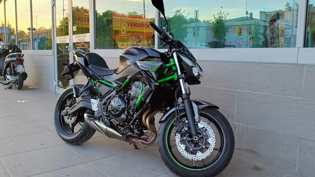 Kawasaki Z 650 (2021 - 24)  (6)