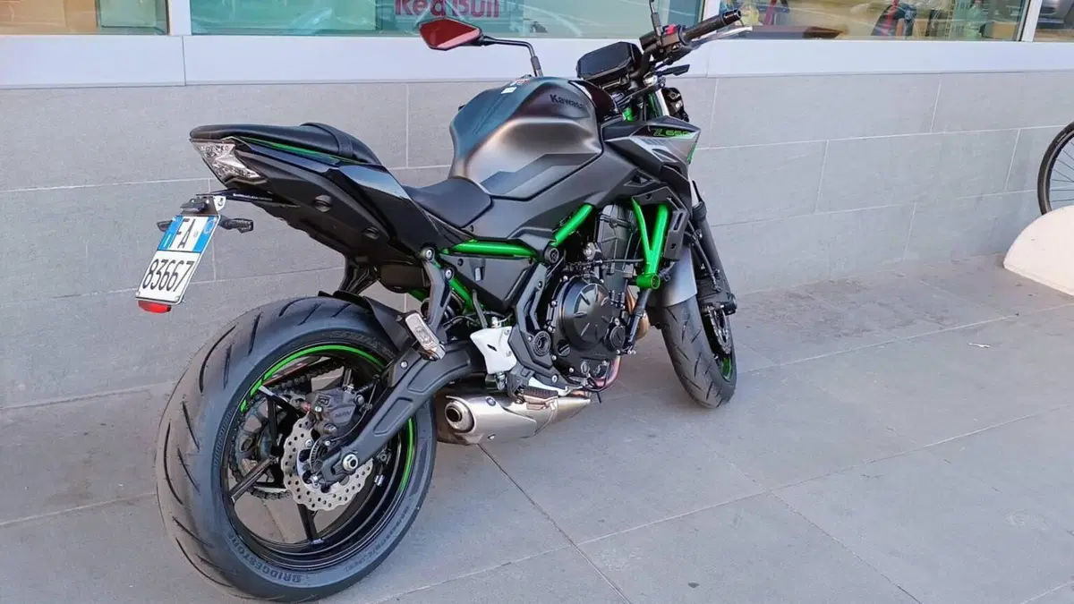 Kawasaki Z 650 (2021 - 24)  (8)