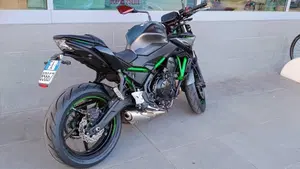 Kawasaki Z 650 (2021 - 24)  (8)