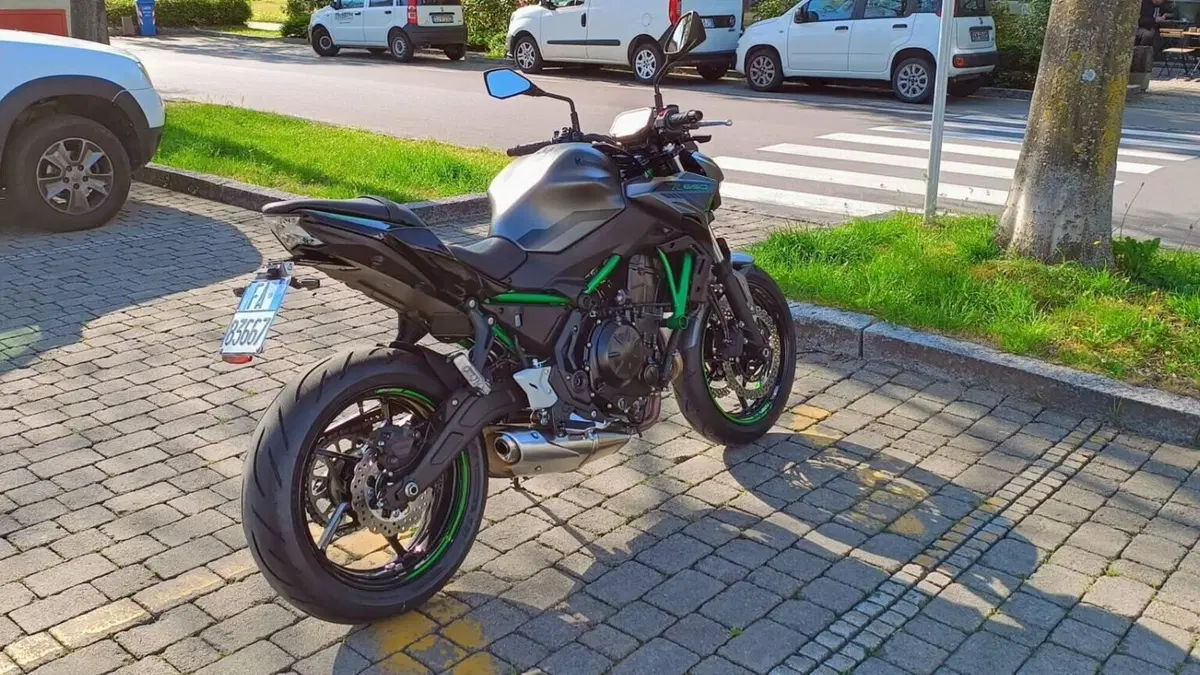 Kawasaki Z 650 (2021 - 24)  (9)