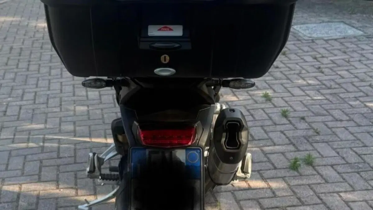 Triumph Tiger 1200 GT Pro (2024 - 26)  (6)