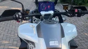 Triumph Tiger 1200 GT Pro (2024 - 26)  (7)