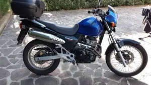 Honda FX Vigor 650 