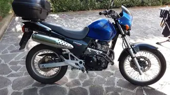 Honda FX Vigor 650 usata