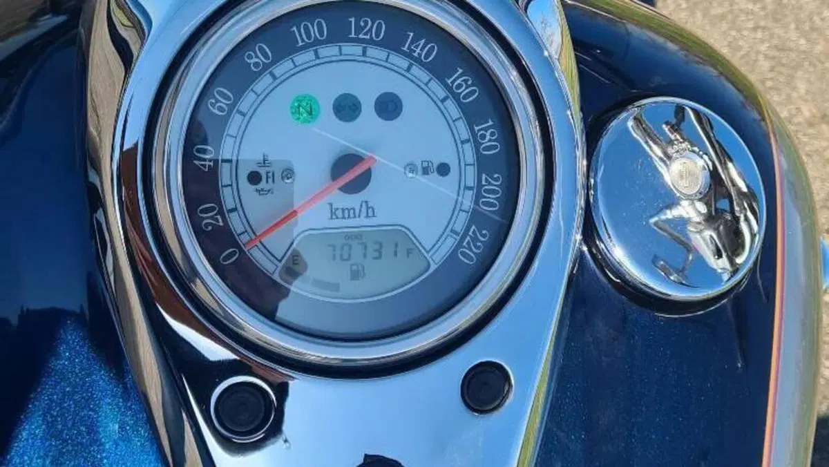 Kawasaki VN 1600 Classic  (4)