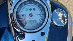 Kawasaki VN 1600 Classic  (4)
