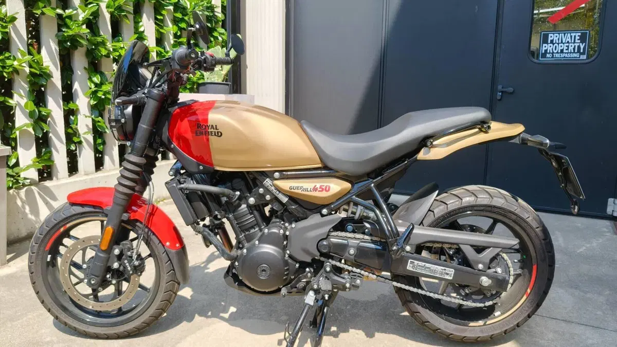 Royal Enfield Guerrilla 450 (2024 - 26) 