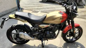 Royal Enfield Guerrilla 450 (2024 - 26)  (6)