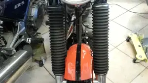Ducati   (5)