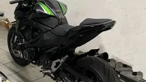 Kawasaki Z 800 e ABS (2012 - 16)  (2)