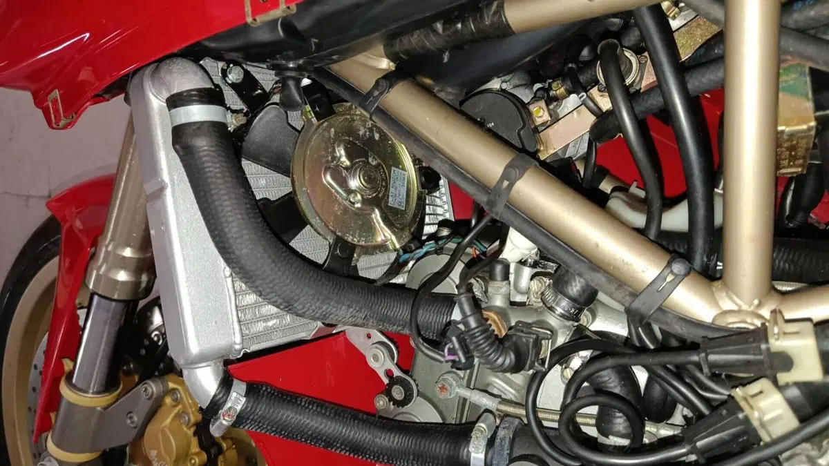 Ducati 916 SP Monoposto (1994 - 96)  (9)