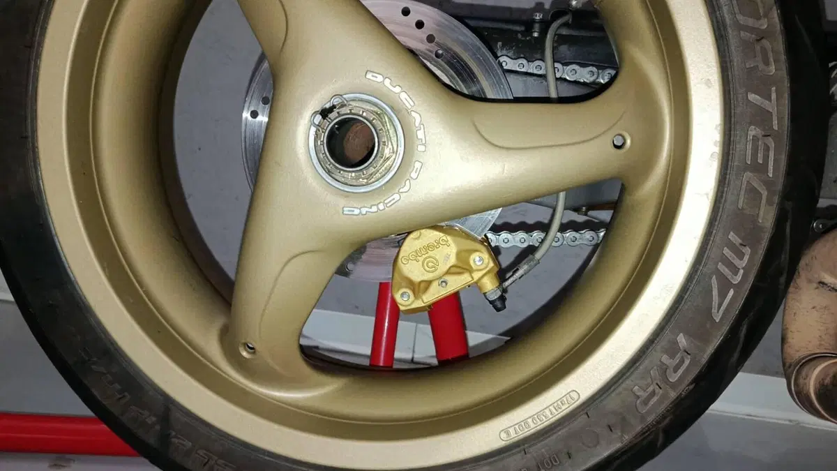 Ducati 916 SP Monoposto (1994 - 96)  (14)