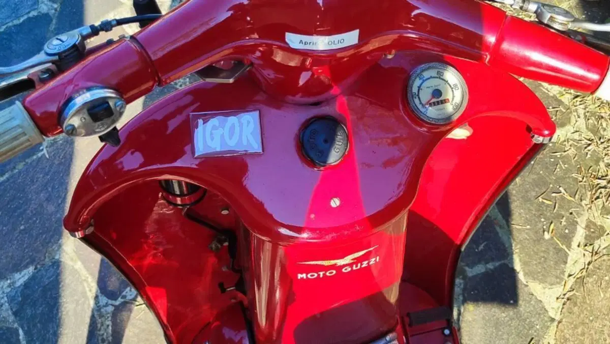 Moto Guzzi   (9)