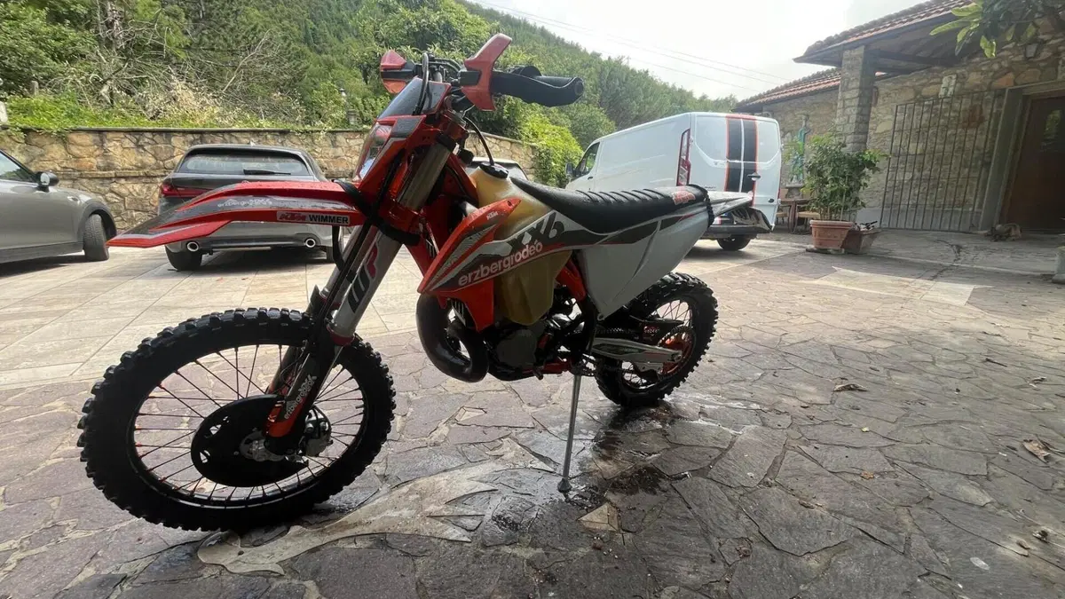 KTM 300 EXC Erzbergrodeo TPI (2021)  (3)