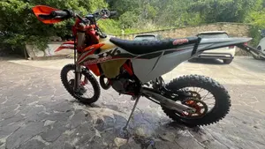 KTM 300 EXC Erzbergrodeo TPI (2021)  (11)