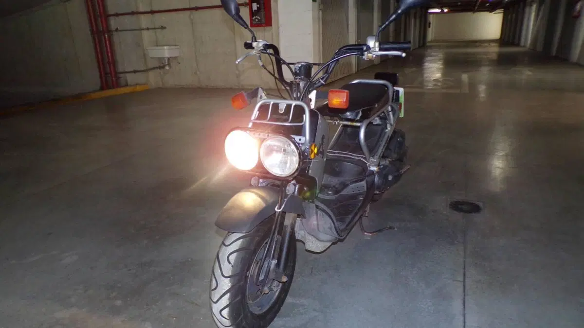 Honda Zoomer  (2)