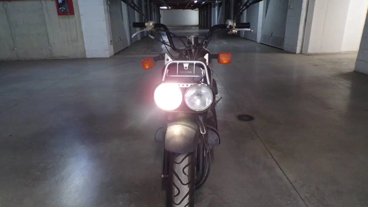 Honda Zoomer  (3)