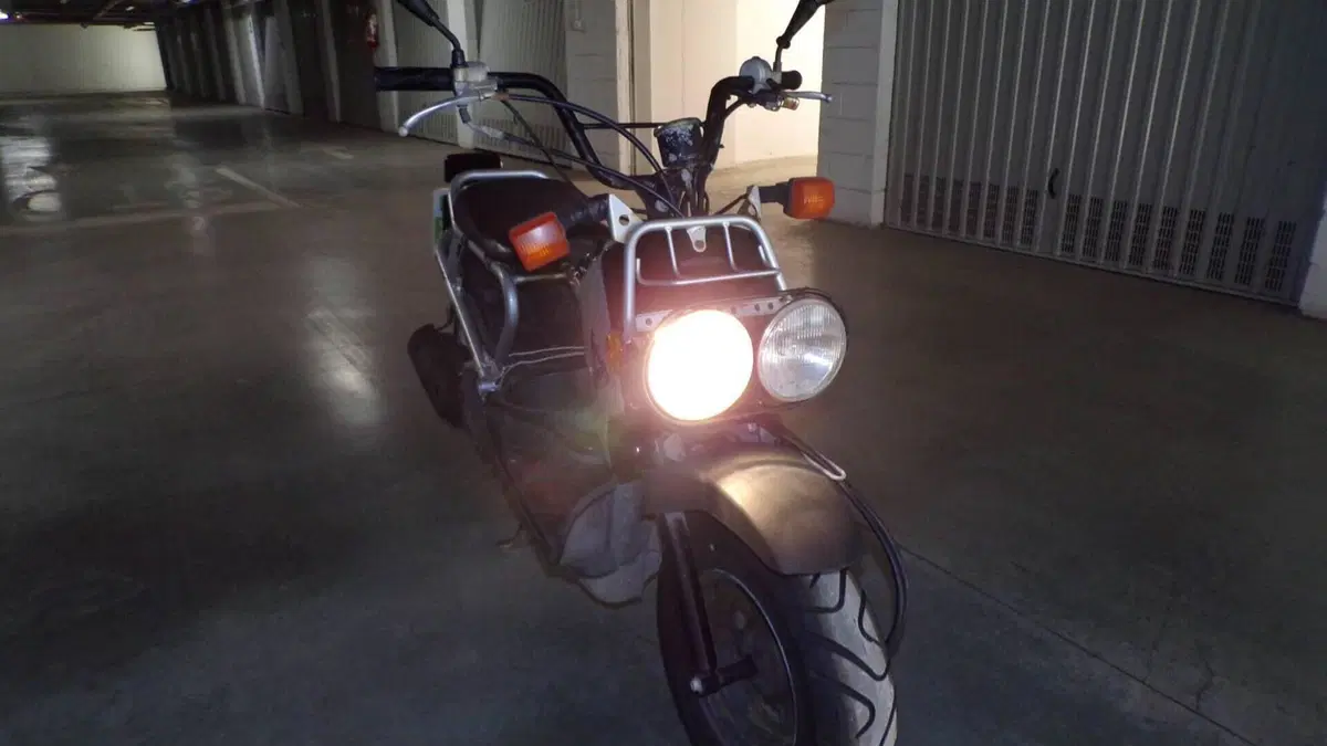 Honda Zoomer  (4)