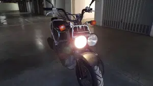 Honda Zoomer  (4)