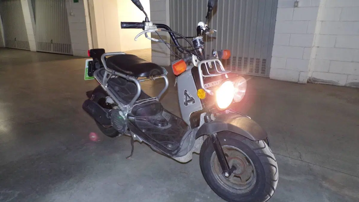 Honda Zoomer  (5)