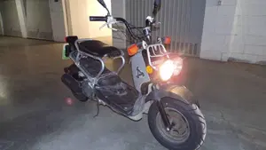 Honda Zoomer  (5)