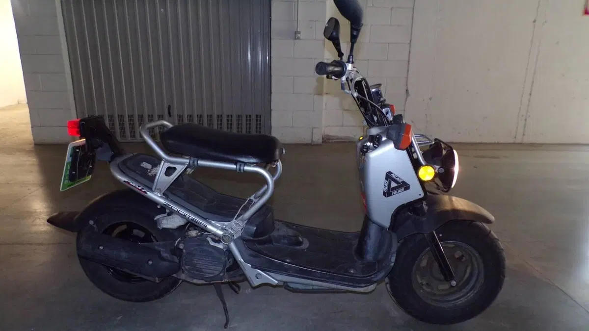 Honda Zoomer  (6)
