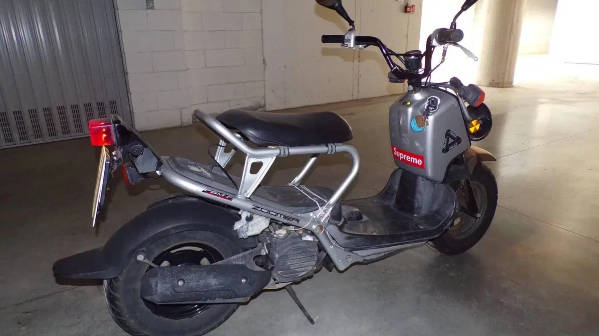 Honda Zoomer  (7)