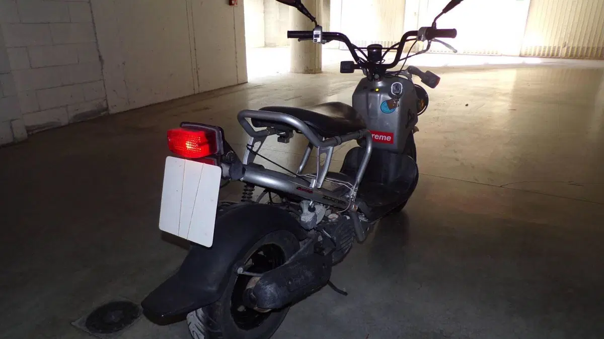 Honda Zoomer  (8)