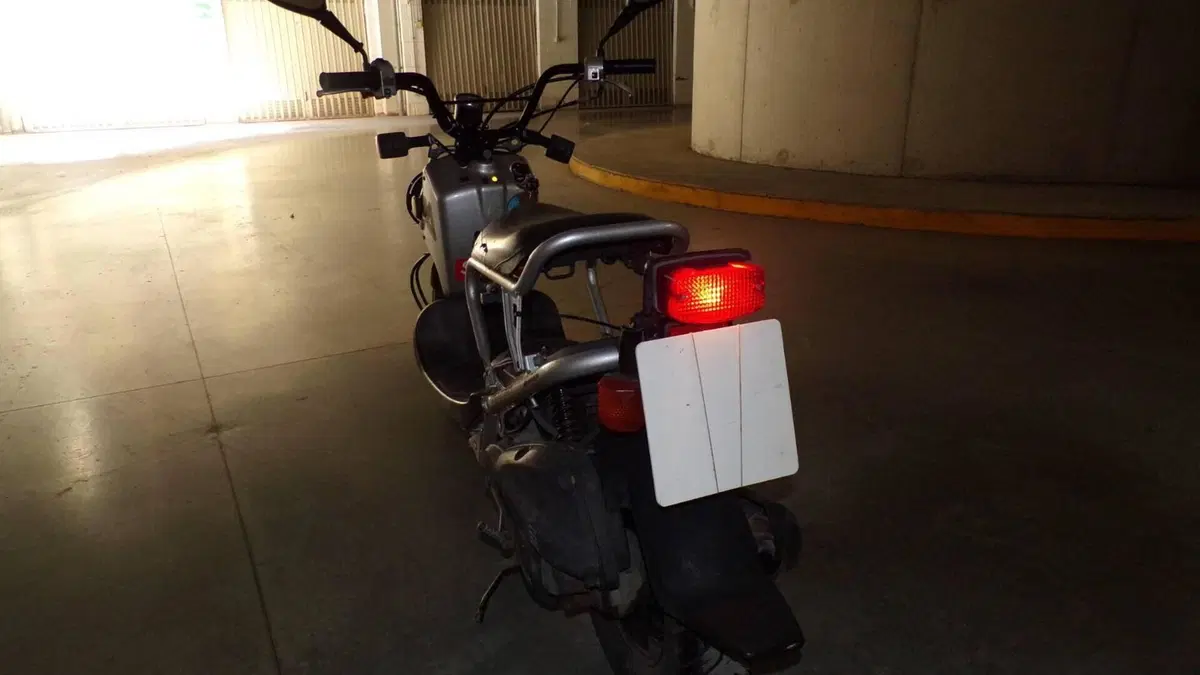 Honda Zoomer  (10)