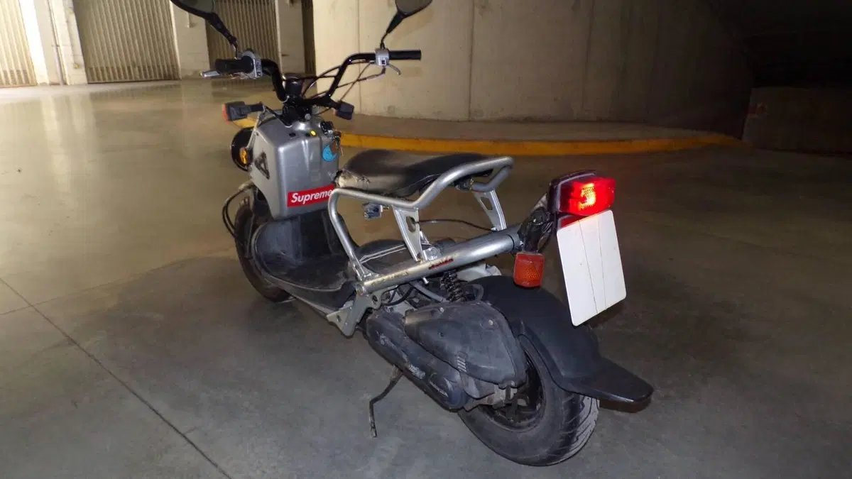 Honda Zoomer  (11)