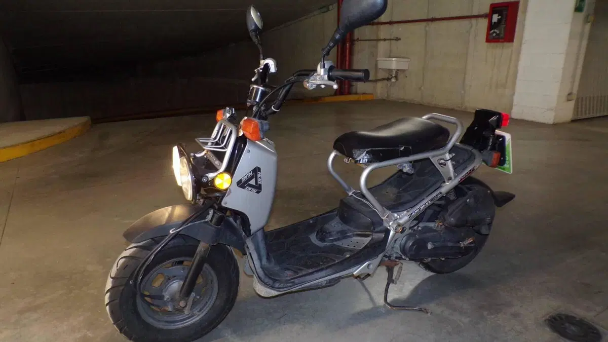 Honda Zoomer  (13)