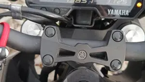 Yamaha MT-125 (2021 - 24)  (8)