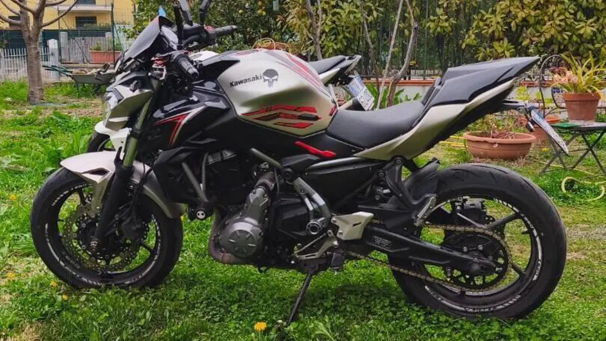 Kawasaki Z 650 (2017 - 19) 