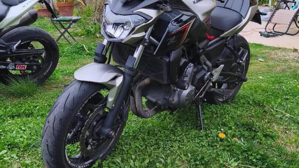 Kawasaki Z 650 (2017 - 19)  (3)