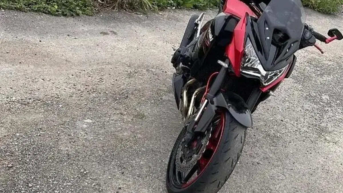 Kawasaki Z 800 e ABS (2012 - 16)  (5)