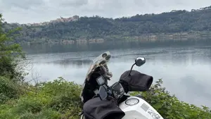 KTM 1290 Super Adventure (2015 - 16)  (3)