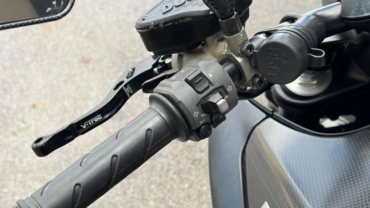 Ducati Diavel 1200 Carbon (2010 - 13)  (12)
