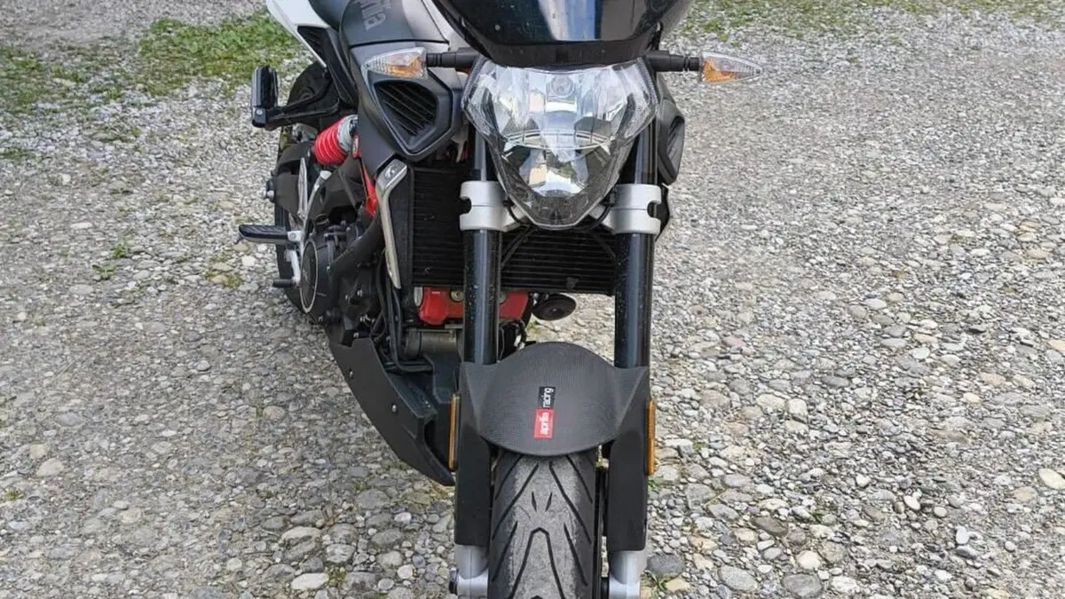 Aprilia Shiver 900 ABS (2017 - 18)  (2)