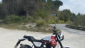 Royal Enfield Scram 411 (2022 - 24)  (4)