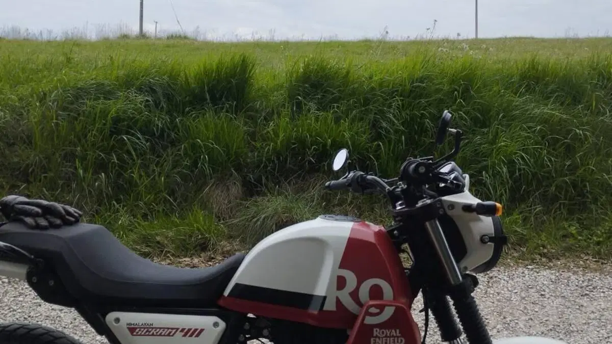 Royal Enfield Scram 411 (2022 - 24)  (5)
