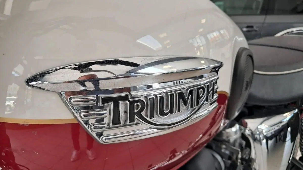 Triumph Bonneville T100 (2008 - 16)  (6)