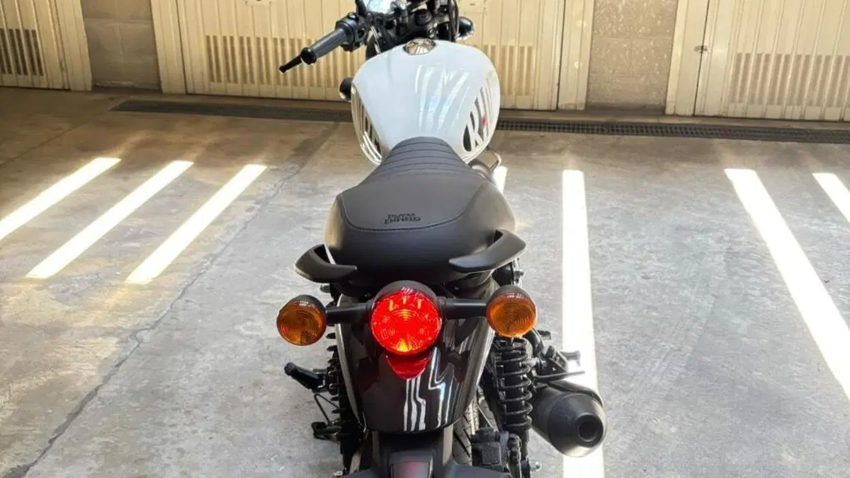 Royal Enfield HNTR 350 (2022 - 26)  (3)